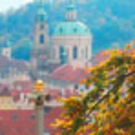 Patel Vijay Restaurant