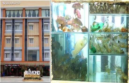 New Feng Huang Seafood