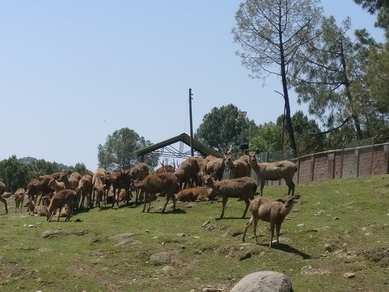 Gopalpur Zoo