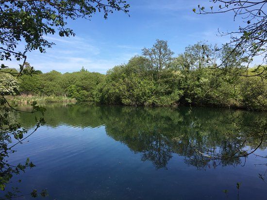 Anton Lakes Local Nature Reserve