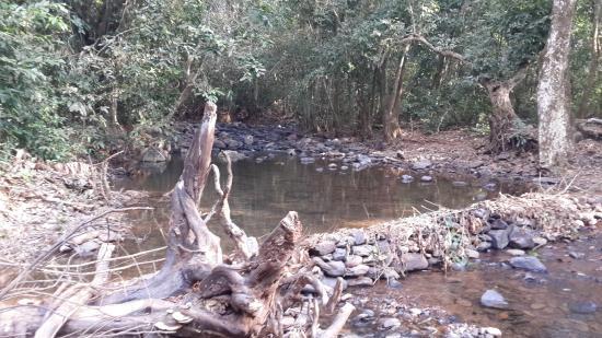 Netravali Wildlife Sanctuary