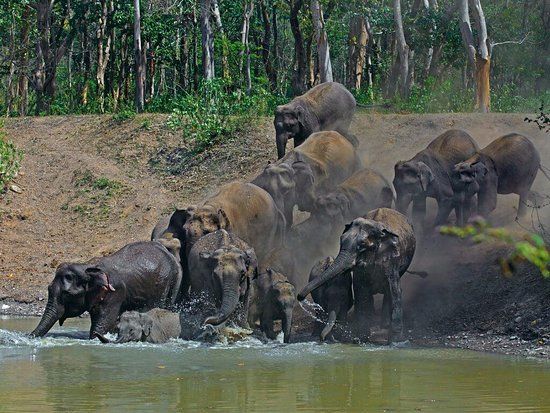 Rajaji National Park