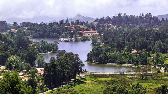 Lake View Point