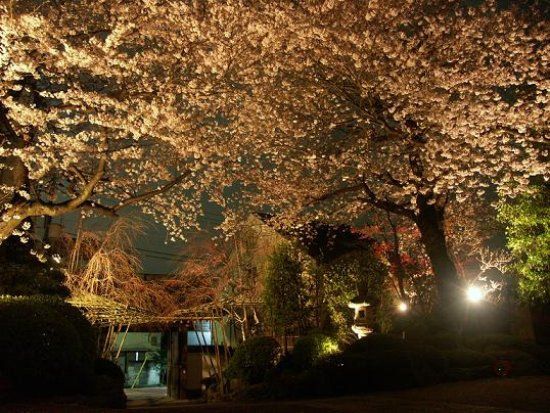 Jisso-in Temple