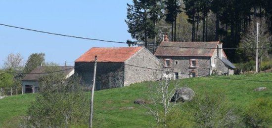 Élevage Jolivet