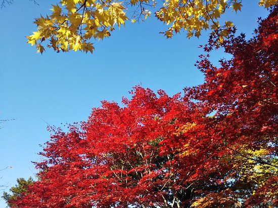 Hiraoka Jugei Center