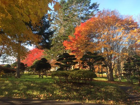 Hakodate City Forest