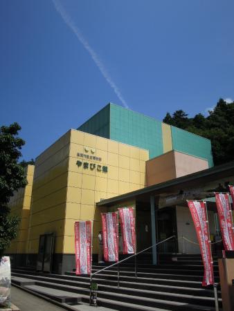 Tottori City History Museum Yamabikokan