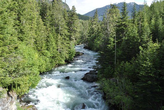 Cheakamus River