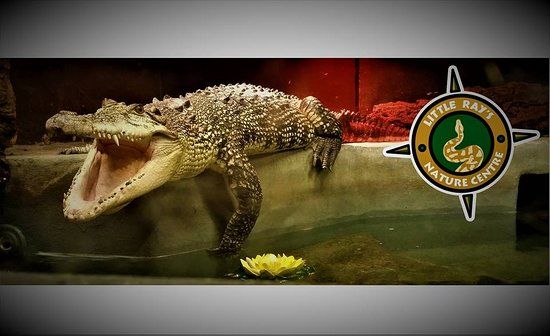 Little Rays Nature Centre