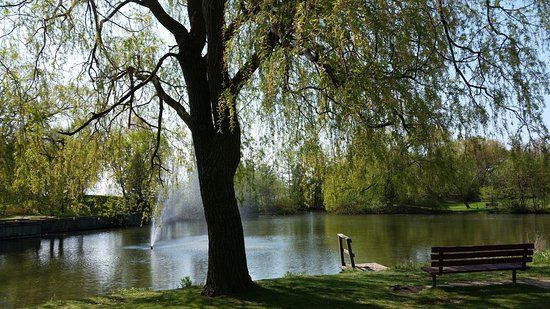 J.C. Saddington Park