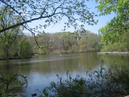 Avalon Park And Preserve