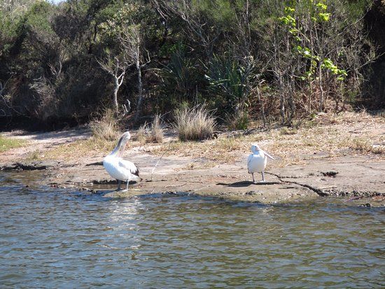 Currimundi Lake Conservation Park
