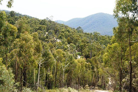 Brindabella National Park