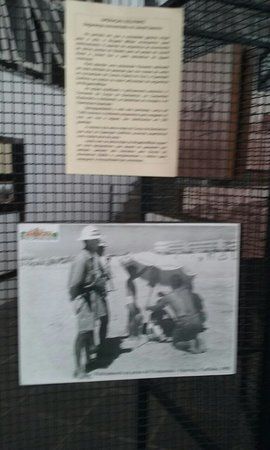 Museu da Brigada Militar