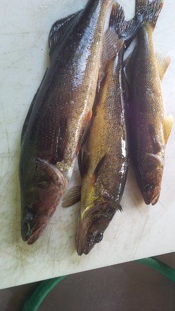 Wenebegon River Provincial Park