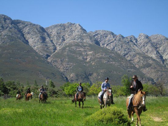 Horse About Trails