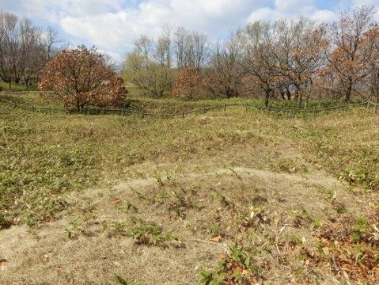 手稲山口バッタ塚