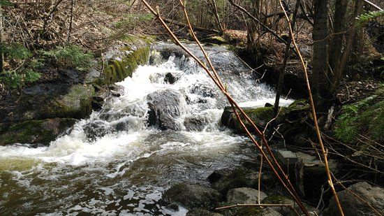 Sentier aux rats musques
