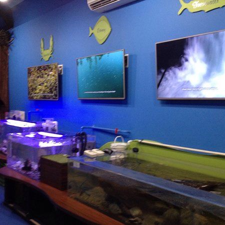 Alberni Aquarium and Stewardship Centre