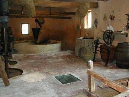 Colecció Museogràfica Municipal Museu Viu de l'oli