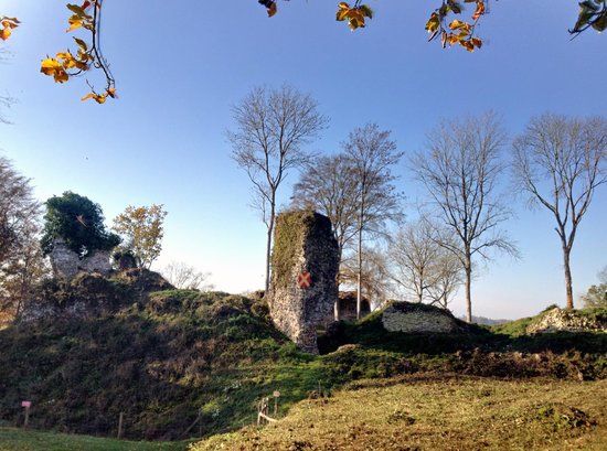 Château de Montfort-sur-Risle