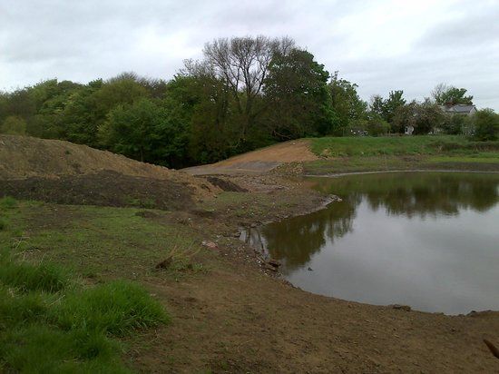 Firsby Common Local Nature Reserve