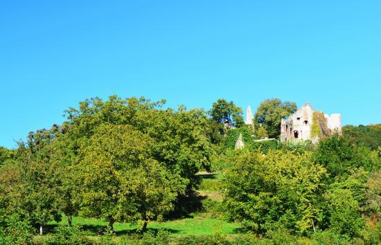 Burg Landeck