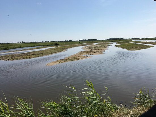 NABU-Wasservogelreservat Wallnau