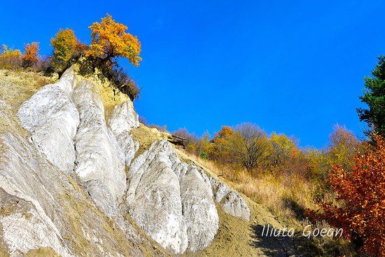 Salt Canyon
