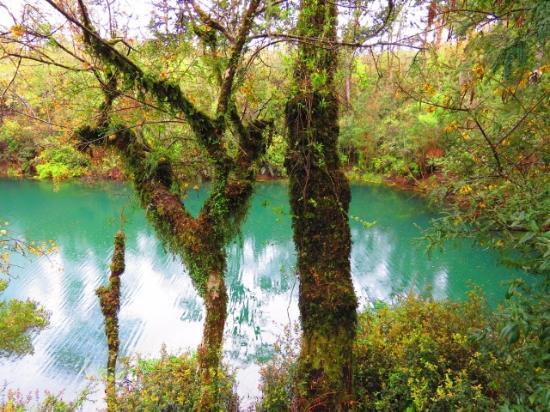 Laguna Verde