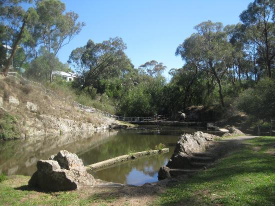 Hepburn Pool