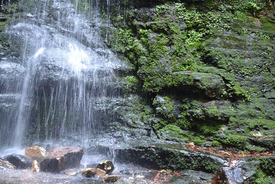 Fairy Bower Falls