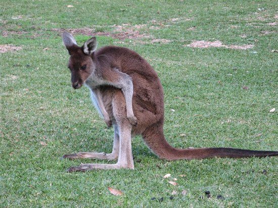 John Forrest National Park