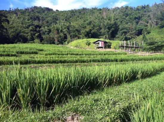 Nang Lae Nai Waterfall
