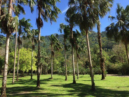 Wang Takrai Park
