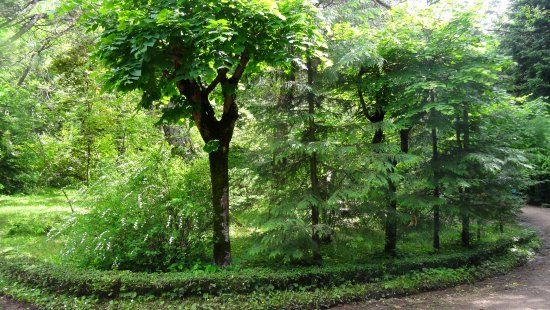 Stepanavan Dendropark