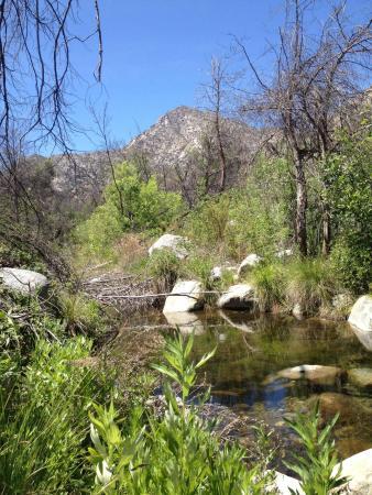 Whiskey Flat Trail