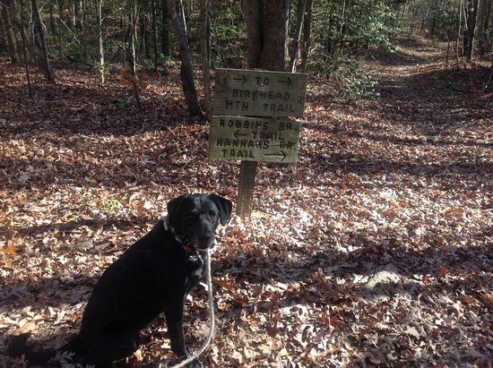 Birkhead Mtn Wilderness
