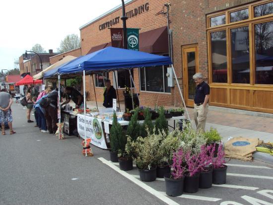 Downtown Wake Forest