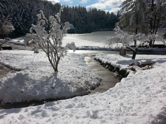 Coggshall Park