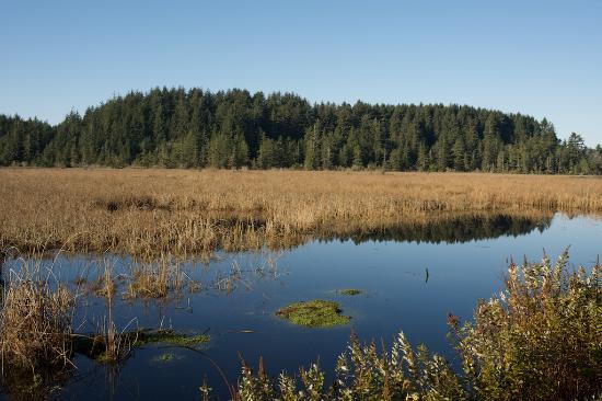 Brian Booth State Park