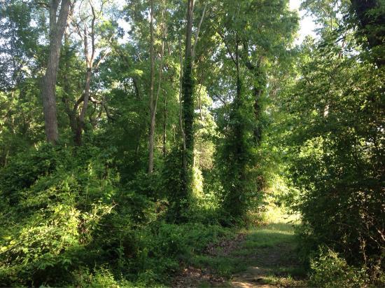 Rancocas State Park