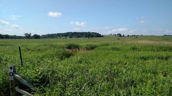 Governor Nelson State Park
