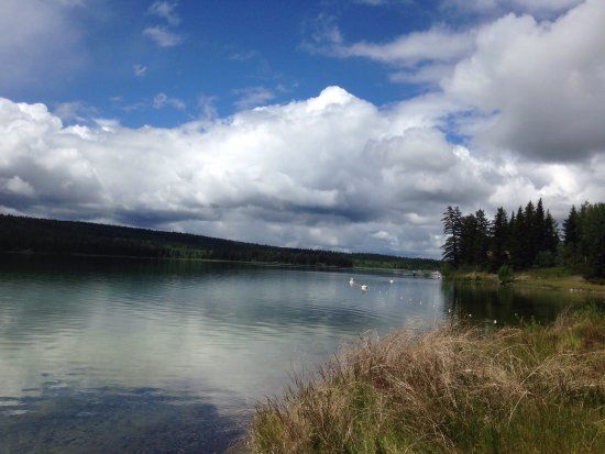 Lac La Hache Provincial Park