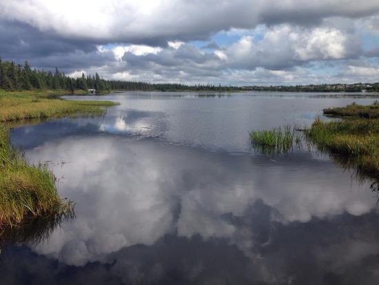 Cobb's Pond Rotary Park