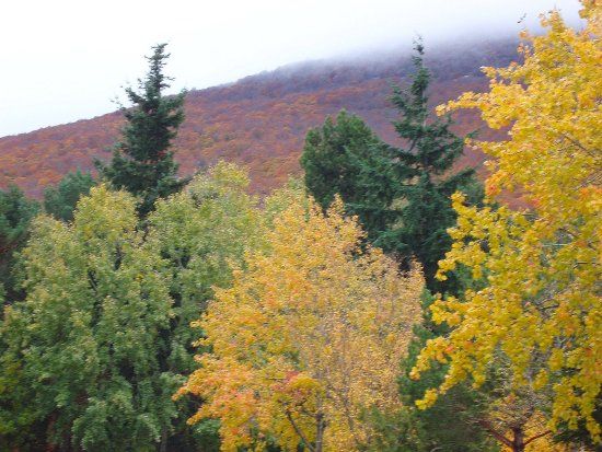 Parque Natural del Moncayo