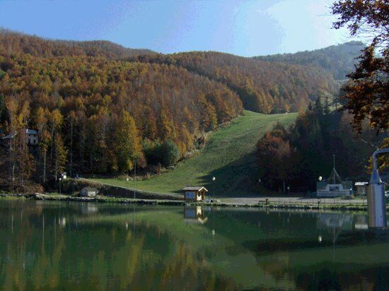 Albergo Ristorante Diana