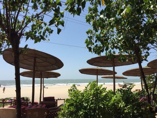 Laughing Buddha Restaurant and Beach Huts