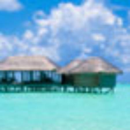 Nellaiappar Restaurant